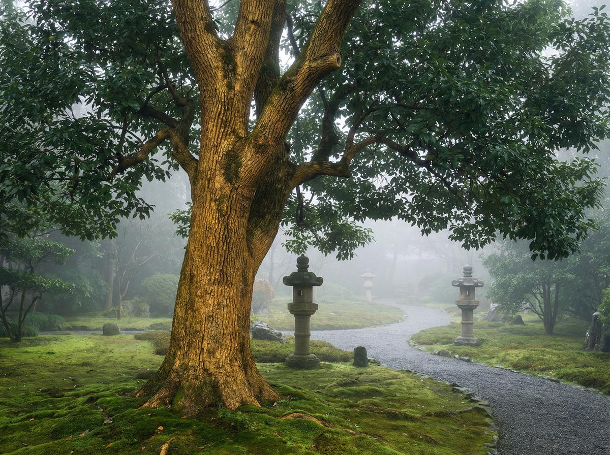 免费看片楠木视频